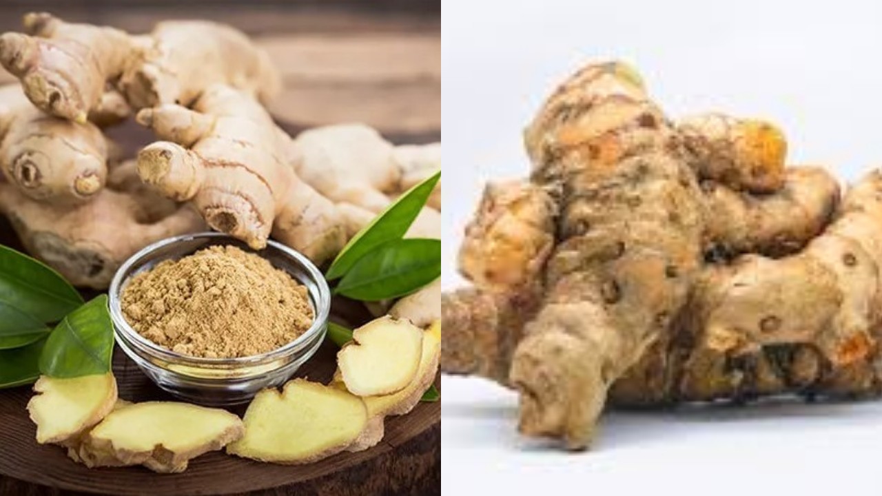 Kenali Beragam Manfaat Temulawak bagi Kesehatan Tubuh Secara Menyeluruh!