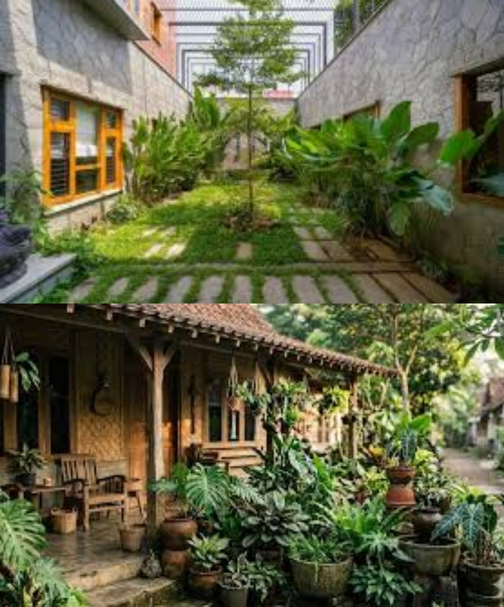 7 Ide Taman Rumah yang Mendukung Kegiatan Bersantai dan Membaca