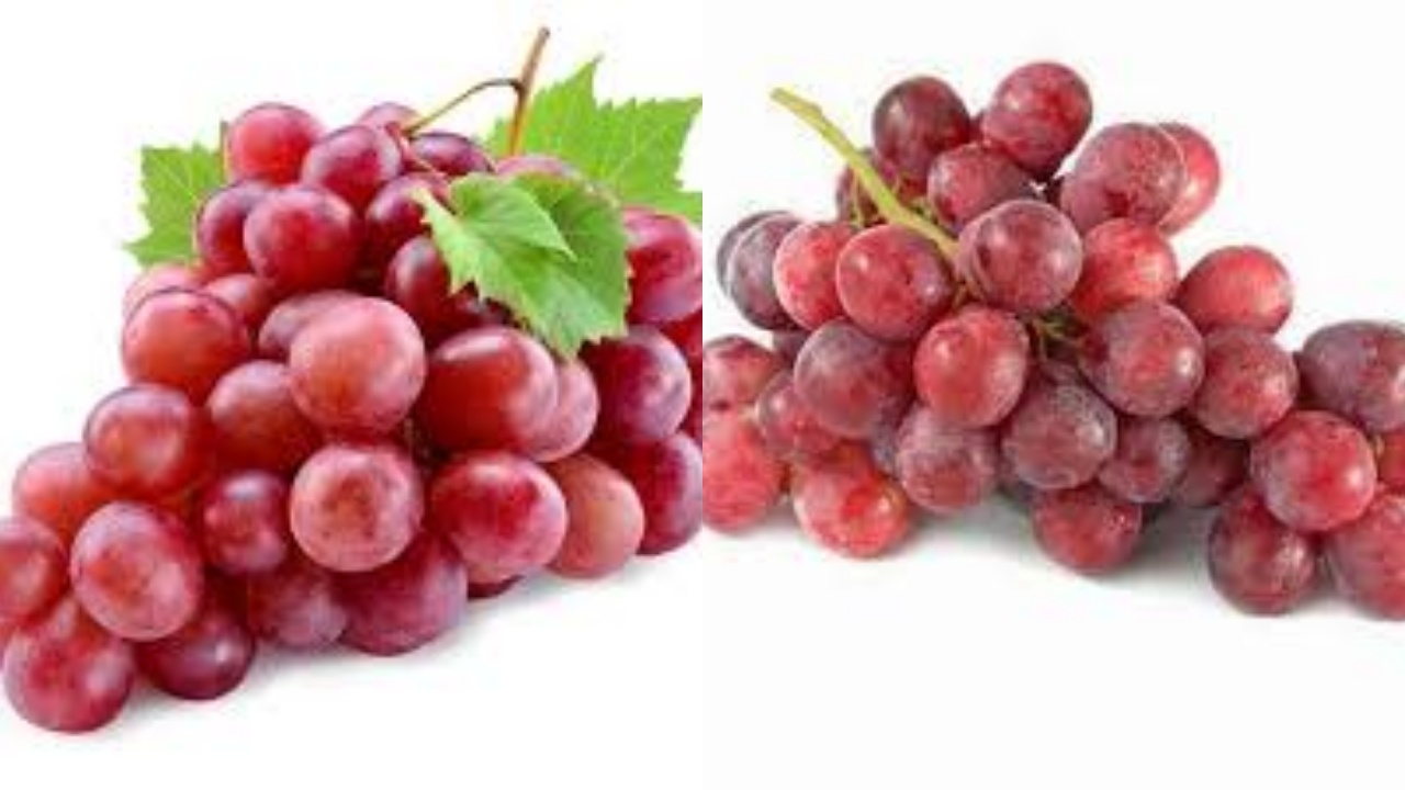  Anggur Merah: Yuk Ketahui 9 Manfaat Dan Cara Tepat Mengonsumsinya
