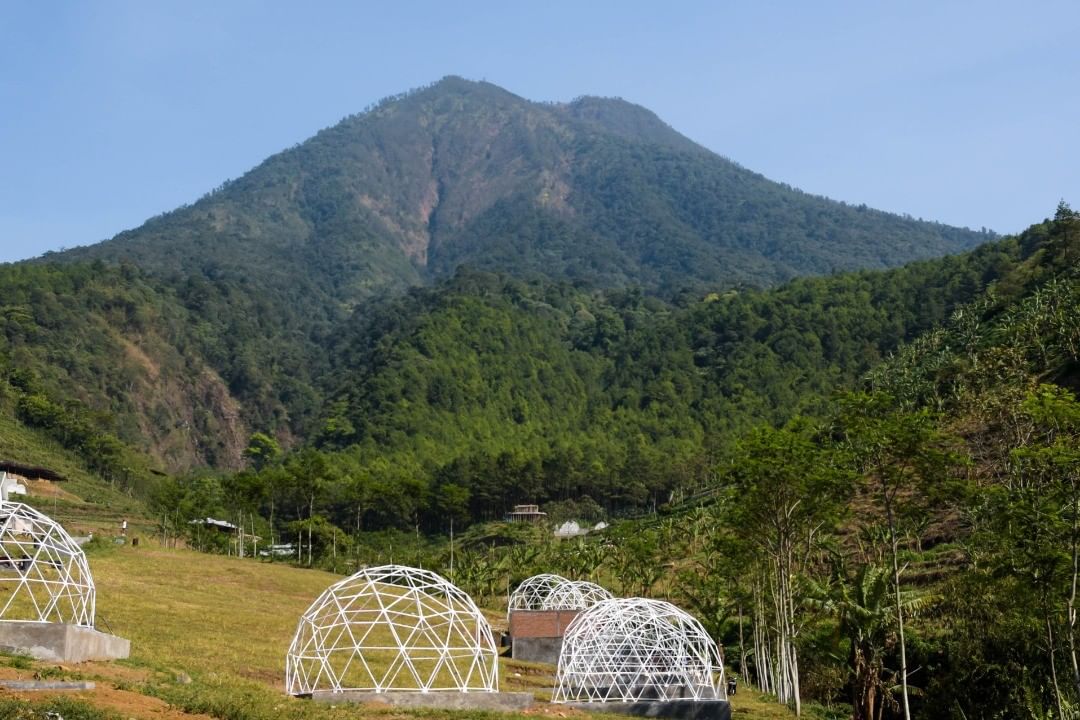 Fakta Mencengangkan! Inilah Sejarah Objek Wisata Kuno Gunung Kawi