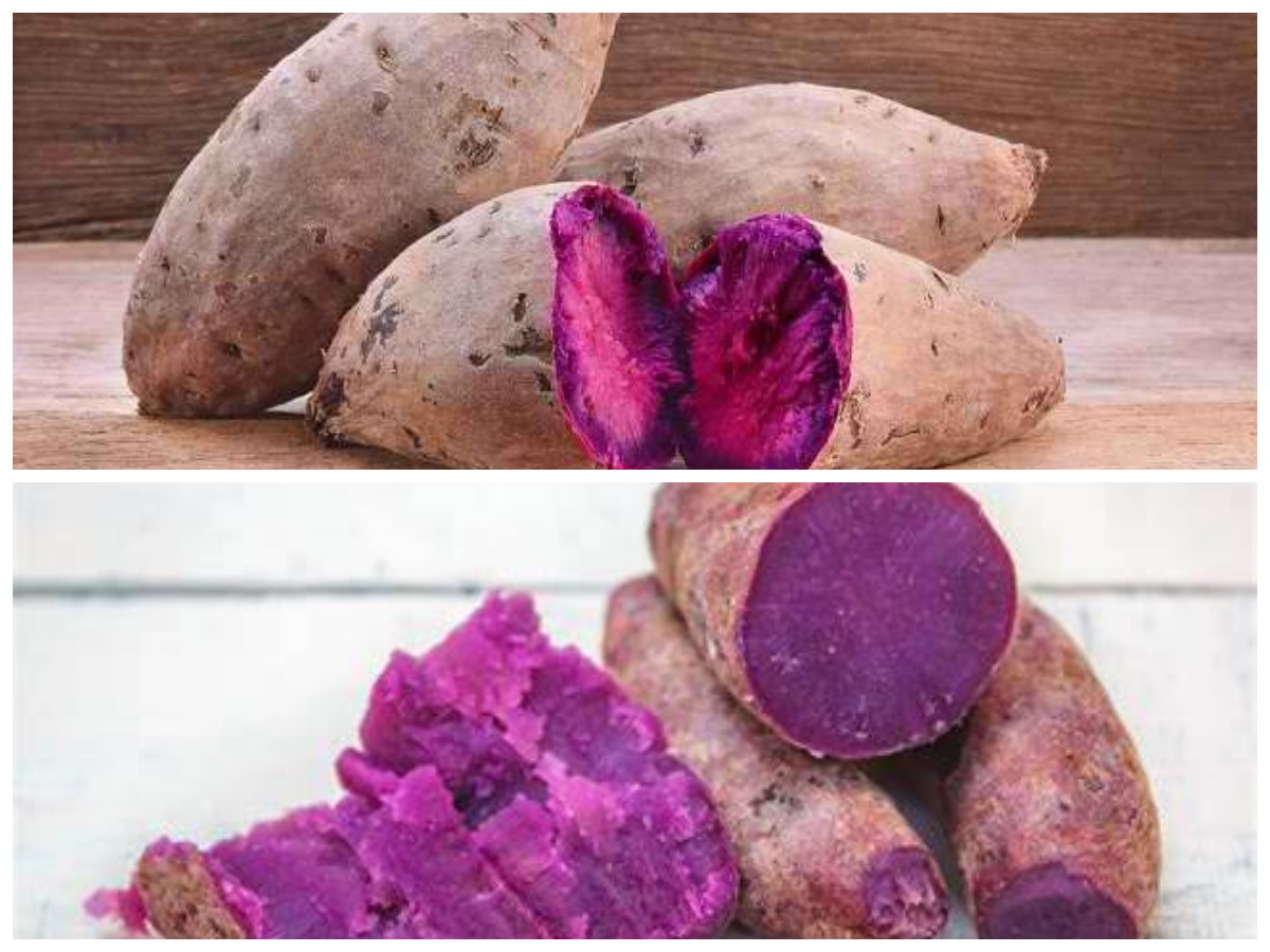 Ubi Ungu: Superfood Kaya Manfaat untuk Kecantikan dan Kesehatan Anda