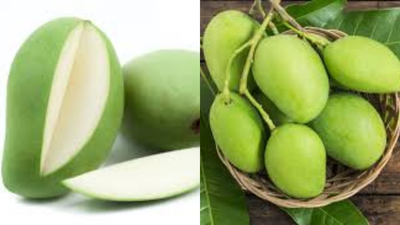  Yuk Intip! Manfaat Mangga Muda Untuk Kesehatan Tubuh Yang Luar Biasa