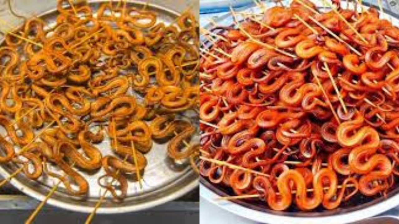 Yuk Ketahui! Teryata Inilah Manfaat Makan Ular Dan Efek Samping Yang Ditimbulkan