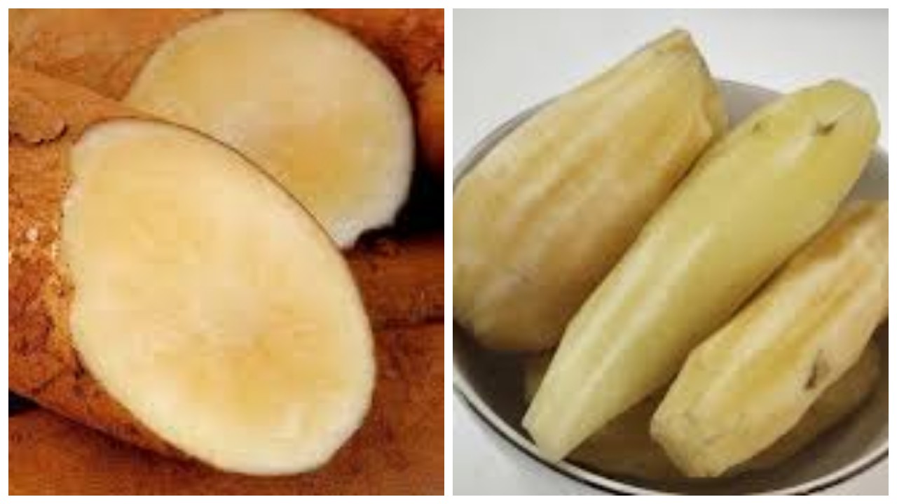 Umbi Yakon: Kesehatan dan Cara Konsumsinya yang Praktis