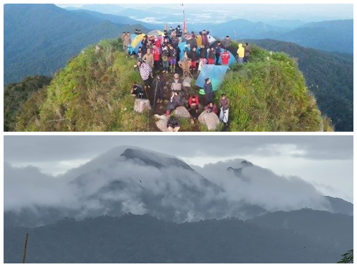 Petualangan Seru ke Puncak Gunung Halau-Halau, Simbol Kekuatan Alam Kalimantan Selatan