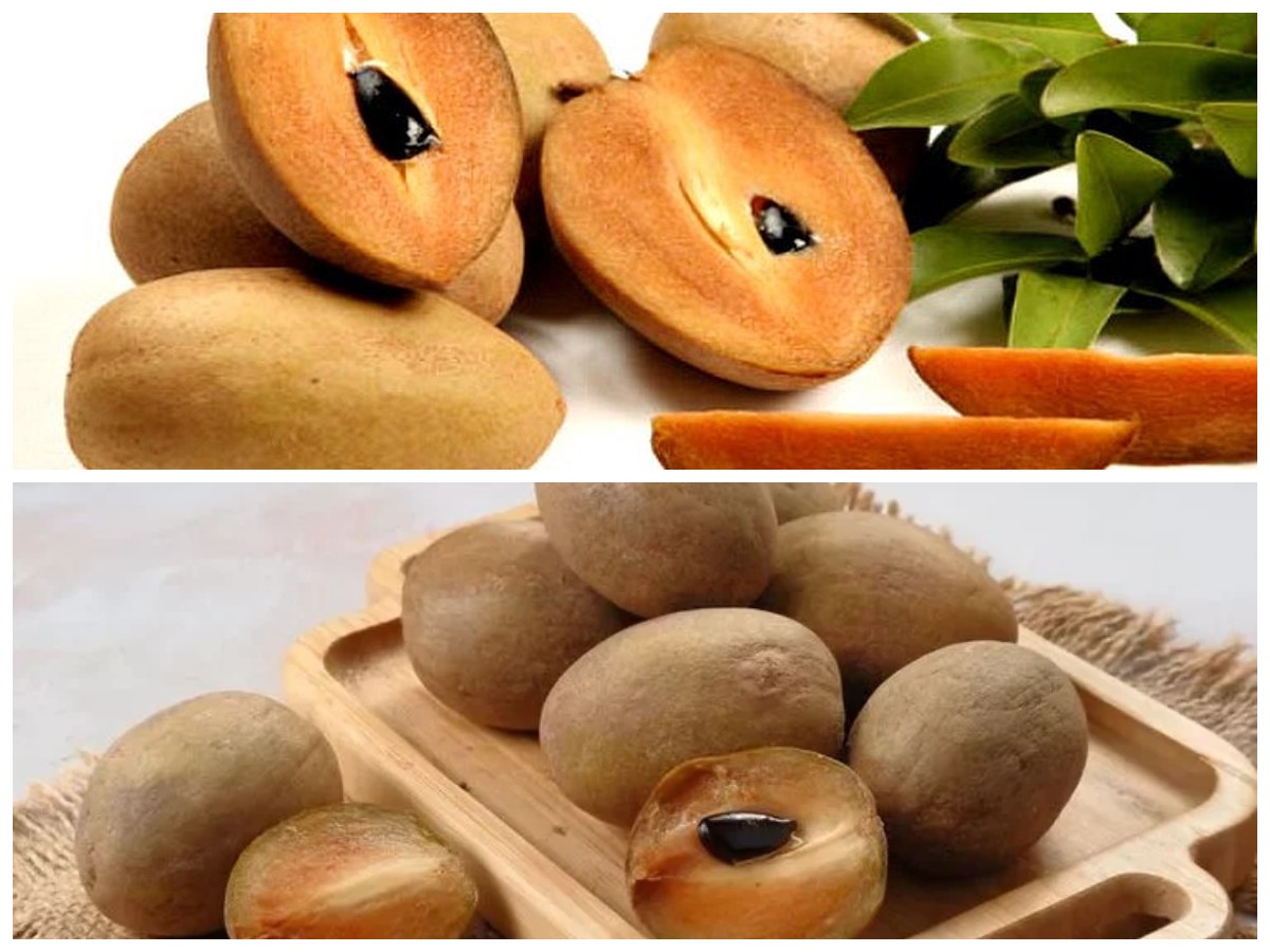 5 Manfaat Buah Sawo untuk Kesehatan yang Wajib Diketahui Para Pecintanya!*