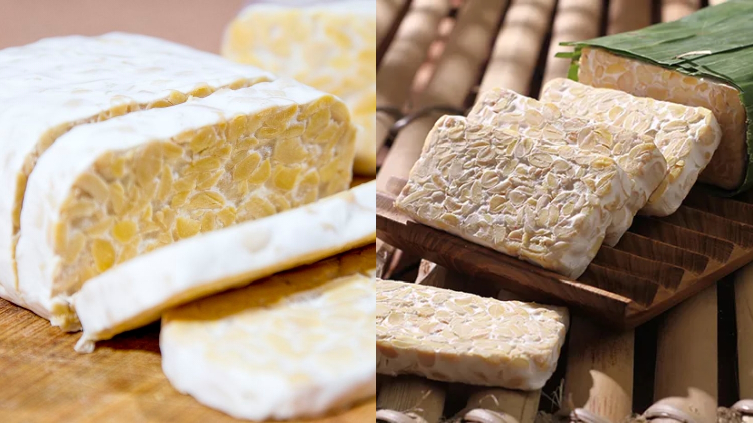 Jarang Diketahui Teryata Ini Guys Manfaat Dari Tempe Untuk Kesehatan Tubuh! 