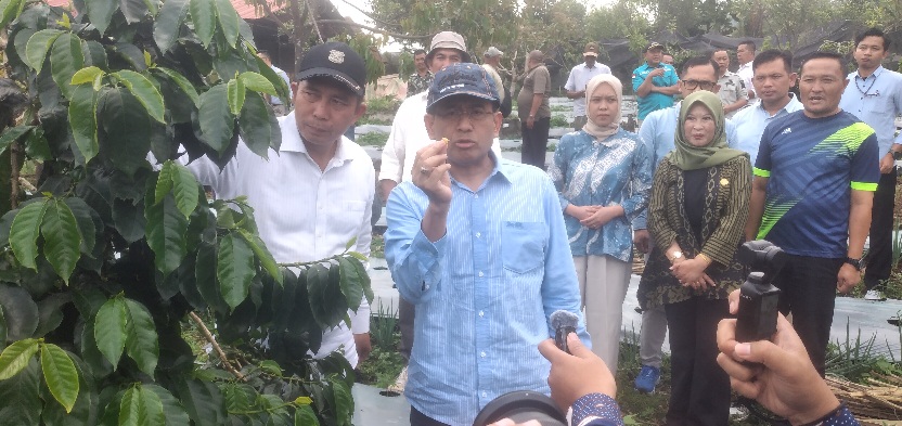 Kunjungi Lahan Kopi Raden Kuning, OJK Siap Fasilitasi Pasar