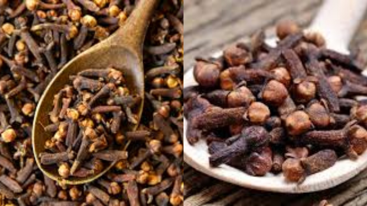 Meredakan Sakit Gigi dan Gusi Inilah Manfaat Cengkih Bagi Kesehatan!