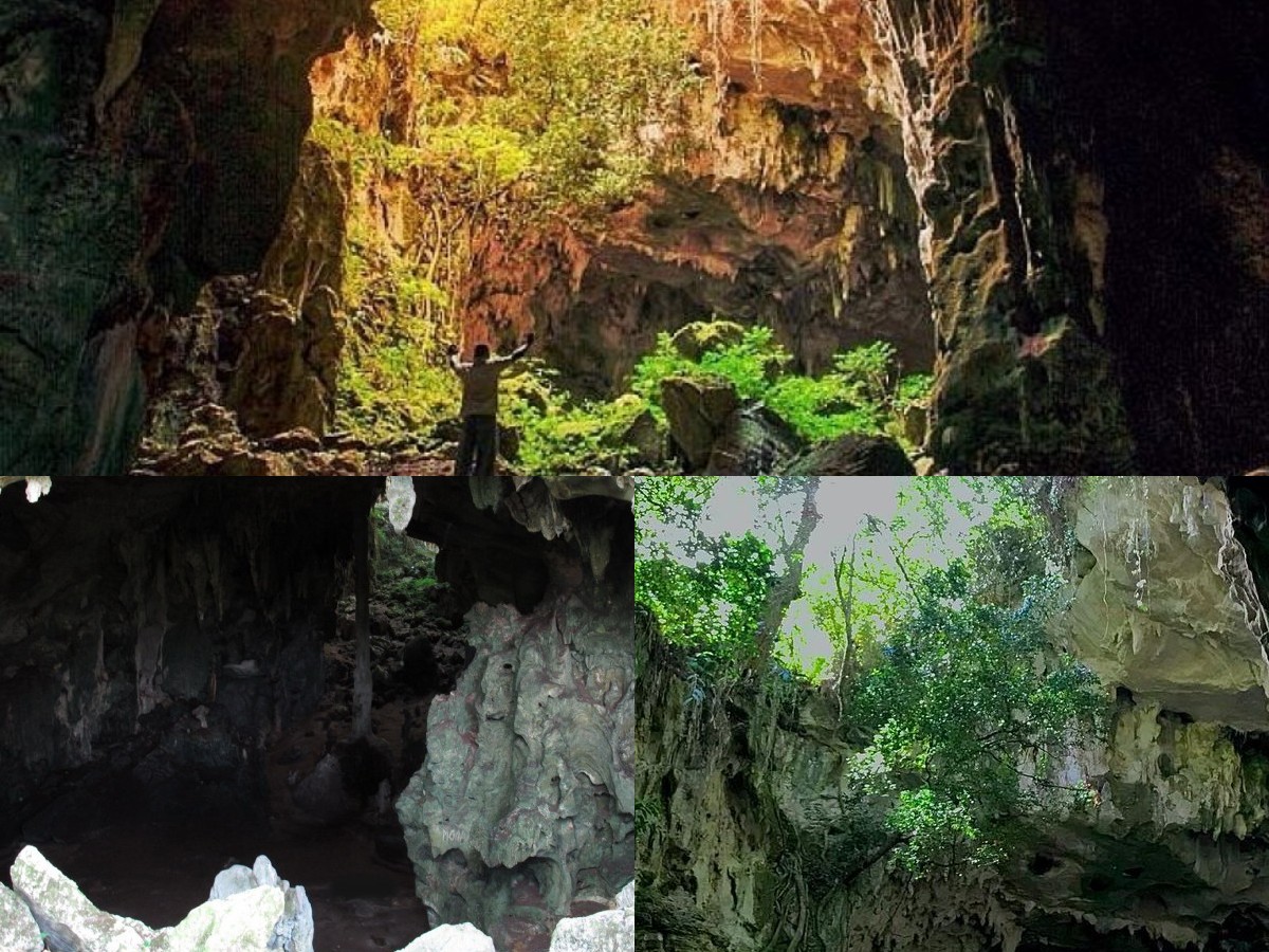 Menelusuri Sejarah Gua Kontilola: Keunikan Gua Penuh Stalaktit dan Kelelawar di Papua!