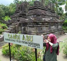 Aneh Tapi Nyata! Objek Wisata Ini Dinamakan Candi Asu, Ada Apa?