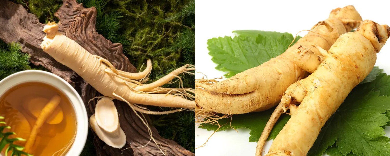 Kupas Tuntas! Ini Manfaat Ginseng Bagi Tubuh