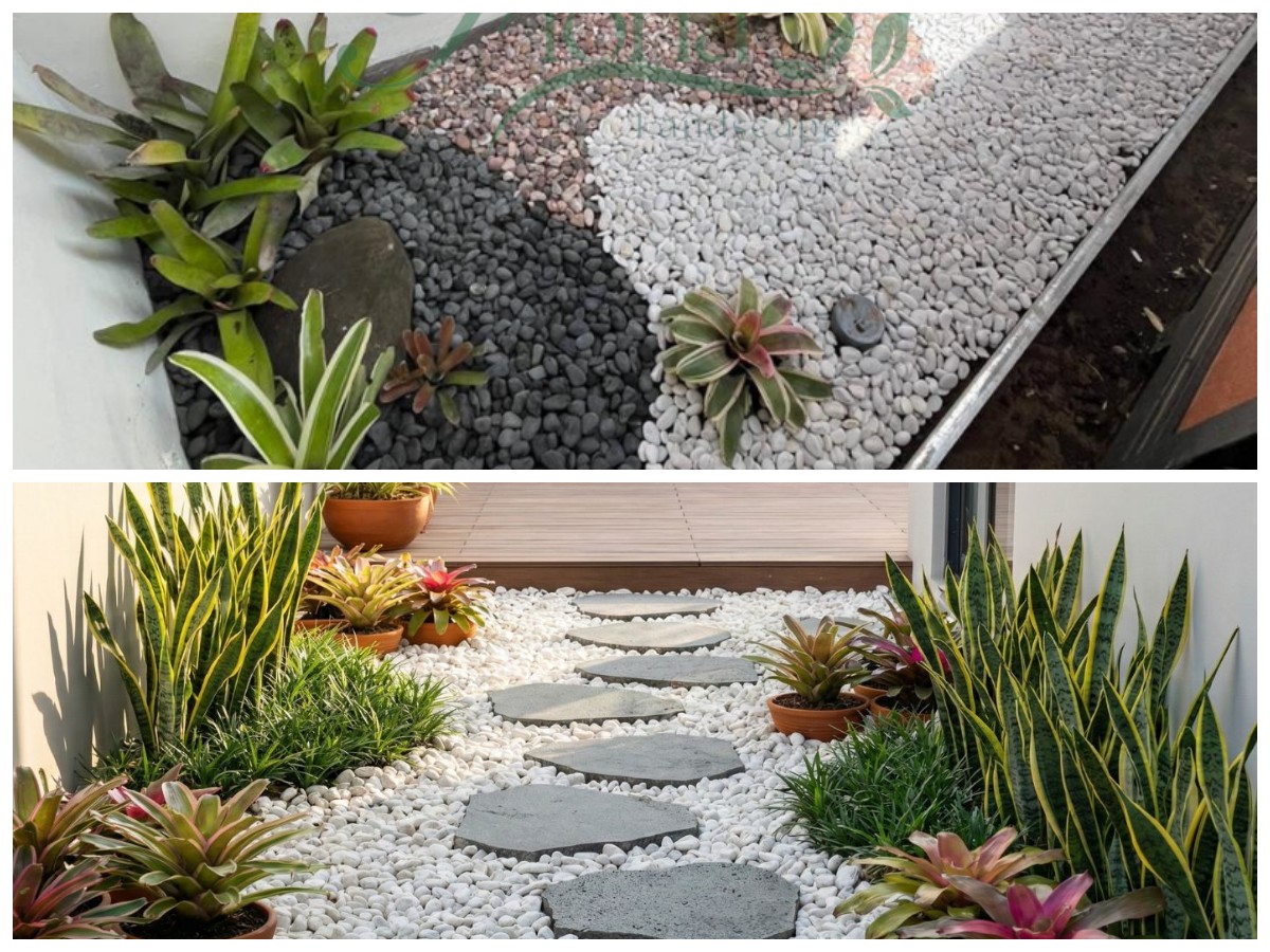 Taman Kering Minimalis Outdoor: Solusi Cantik, Praktis, dan Anti Ribet Perawatan