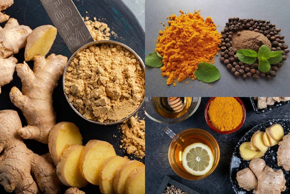 Rekomendasi Rempah Alami yang Dapat Meningkatkan Kesehatan Pencernaan Anda!
