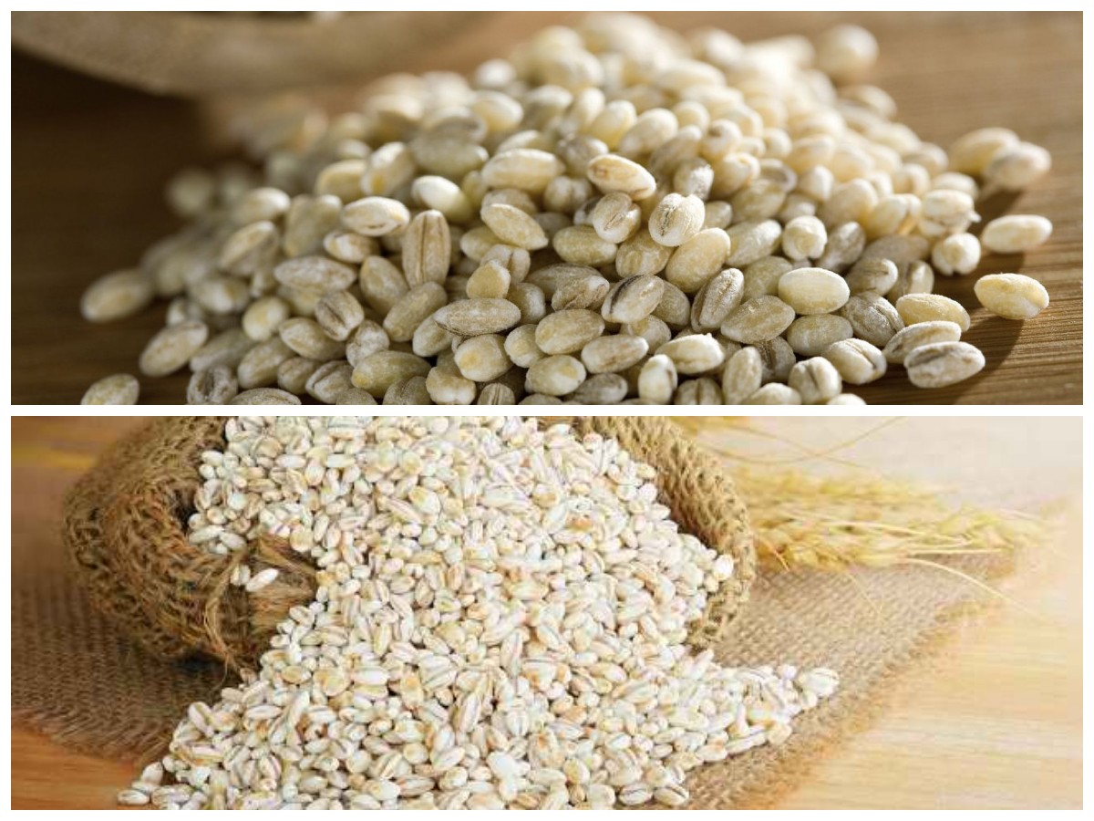 Tak Hanya untuk Gandum! Ini Deretan Manfaat Barley yang Luar Biasa bagi Kesehatan Tubuh
