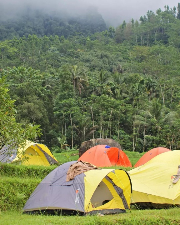 Serunya Camping Dialam Bebas Bersama Keluarga, Cocoknya ke Bogor Dijamin Aman, Cek 5 Lokasinya Disini  