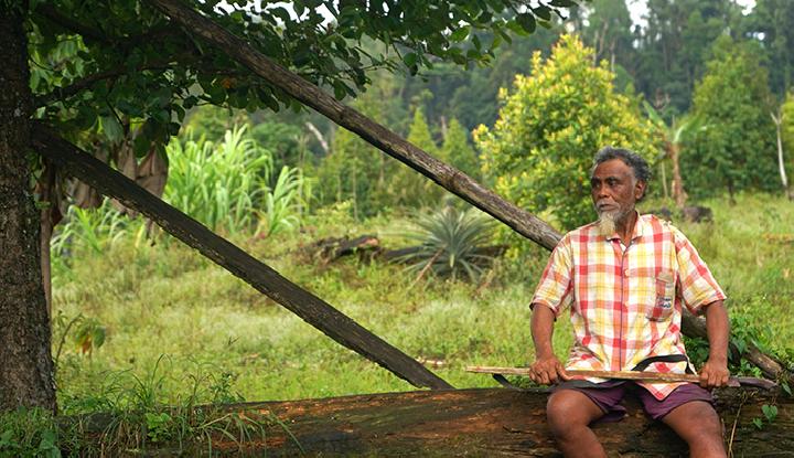 Pilu dan Ngilu, Latar Belakang Suku Polahi Lakukan Perkawinan Sedarah