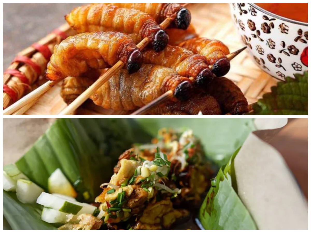 Kuliner Aneh Namun Bergizi di Indonesia: 6 Hidangan yang Wajib Kamu Tantang Lidahmu!