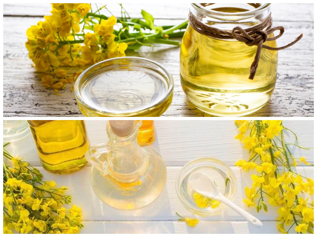 Tak Hanya untuk Kulit, Ini Deretan Manfaat Minyak Kalona yang Baik bagi Kesehatan Tubuhmu!