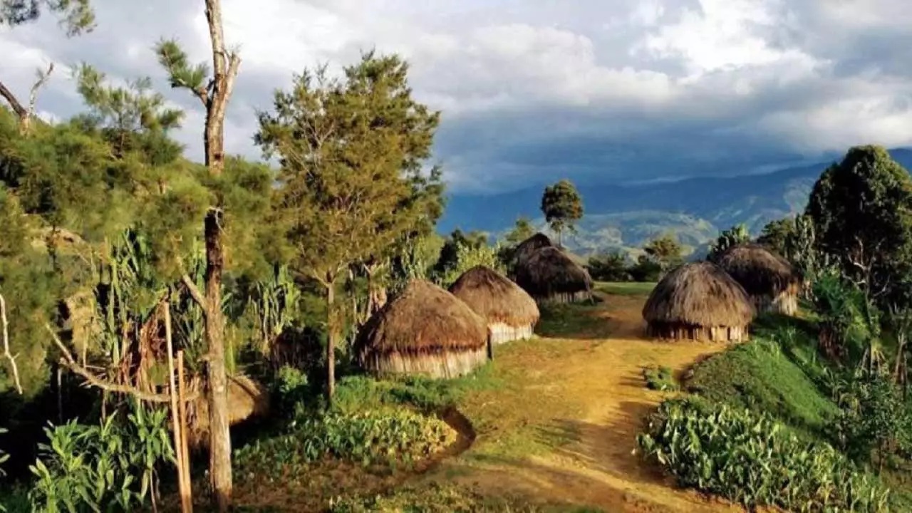 Papua Bumi Cendrawasih, Daya Tarik Wisata Bahari dan Budaya Khasnya Memikat Hati, Ini Ulasannya