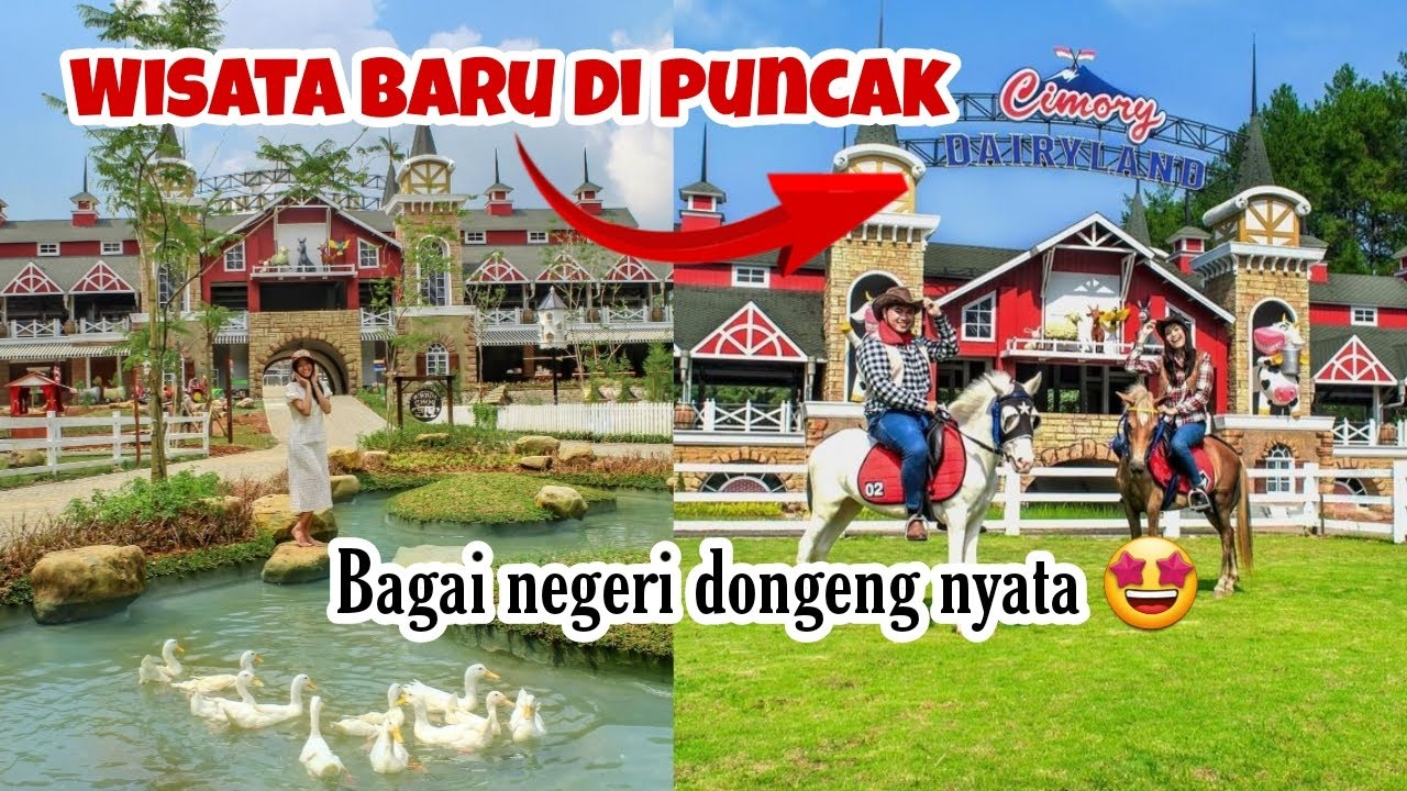 Rekreasi Interaktif! Menikmati Hewan Ternak dan Wahana Seru di Puncak Bogor