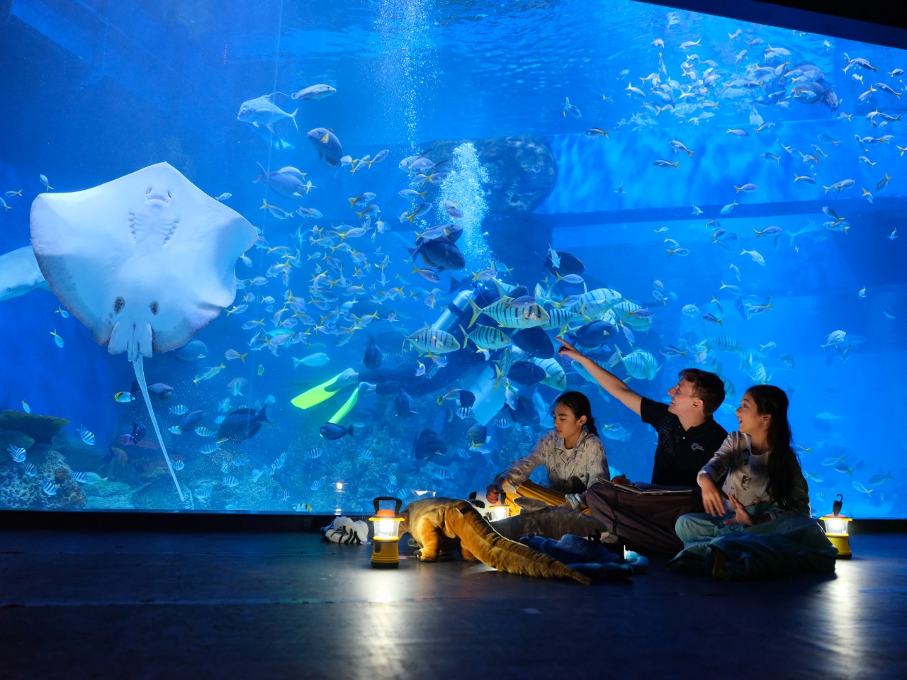 5 Tempat Wisata Aquarium Terbesar di Indonesia, yang Wajib Banget Kamu Kunjungi!