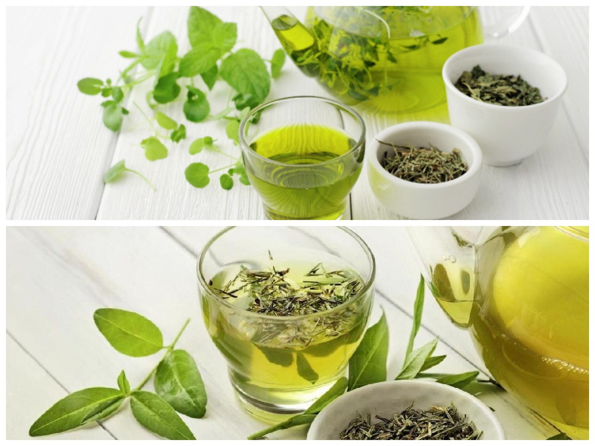 Rahasia Sehat dan Cantik Alami dengan Rutin Minum Teh Hijau