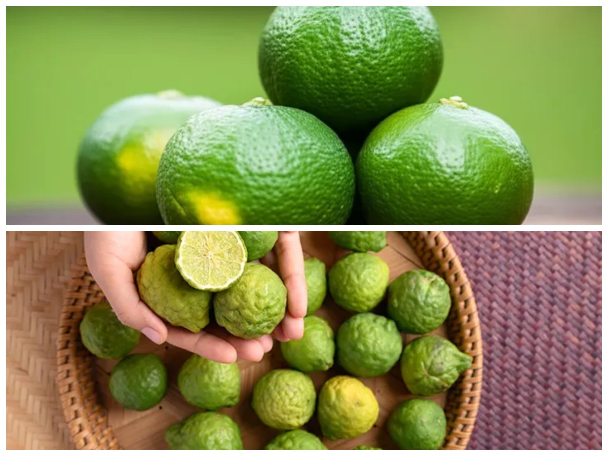 Khasiat Tersembunyi Buah Limus: Solusi Alami untuk Imunitas dan Berat Badan Ideal