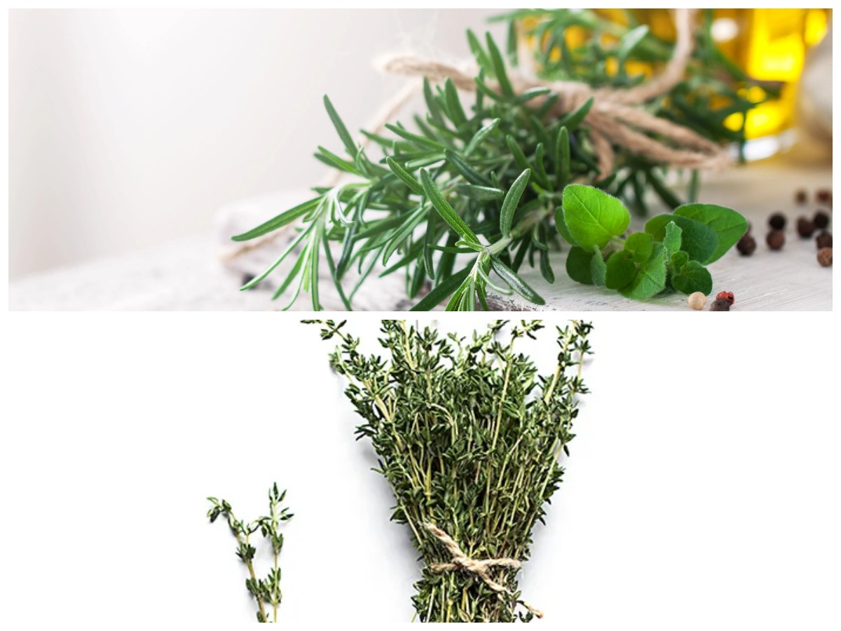 Kaya Antioksidan dan Nutrisi, Ini Berbagai Manfaat Daun Thyme bagi Kesehatan!