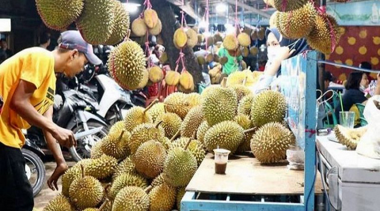 Wajib Tahu, Ini 6 Daerah Penghasil Durian Terbesar di Indonesia Salahsatunya Kota Palembang