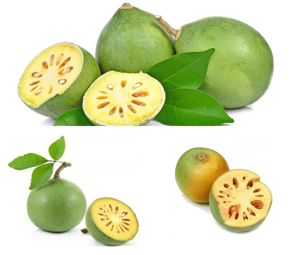 7 Potensi Manfaat Buah Maja Untuk Kesehatan Tubuh, Termasuk Mengatasi Semblit! 