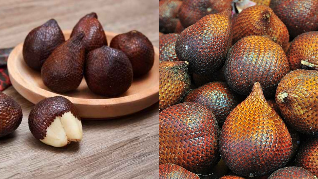 Buah Salak: Sumber Serat dan Vitamin dengan Banyak Manfaat Kesehatan!