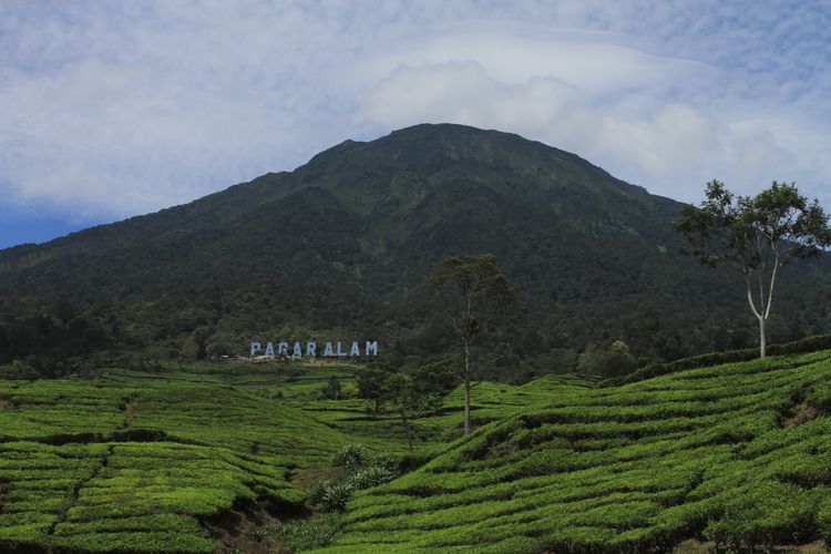 Pas Banget Mengisi Waktu Weekend ke Gunung yang Ada di Sumatera Ini!