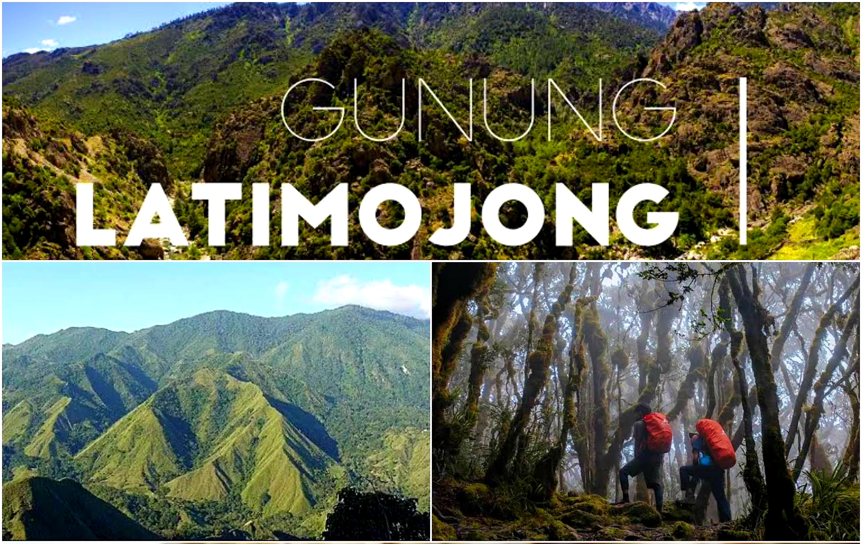 Keanekaragaman Biologi Gunung Latimojong Jadi Daya Tarik Para Pendaki