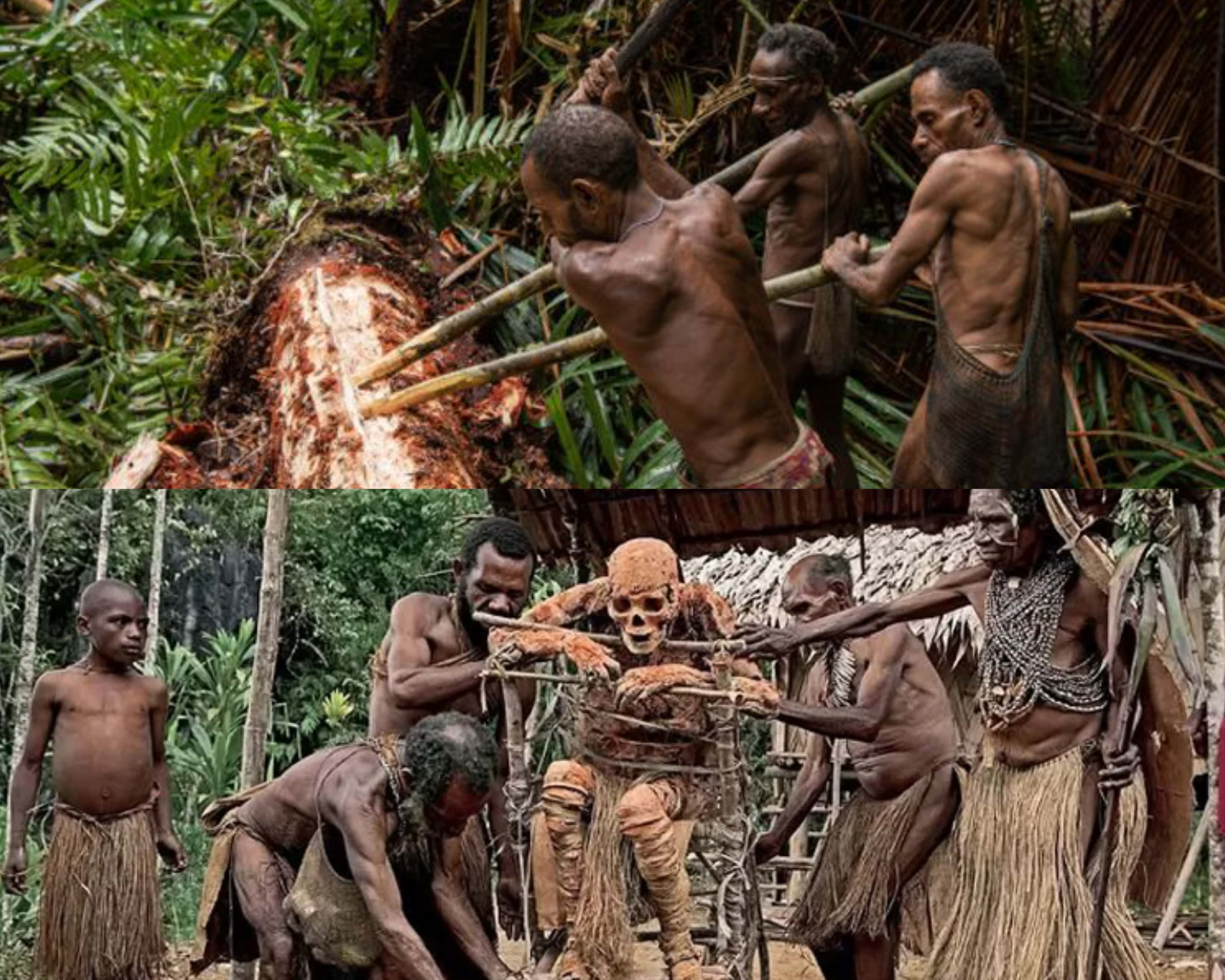 Bikin Kagum dan Ngeri! Inilah 5 Suku Papua Yang Masih Mempertahankan Tradisi Dari Nenek Moyang