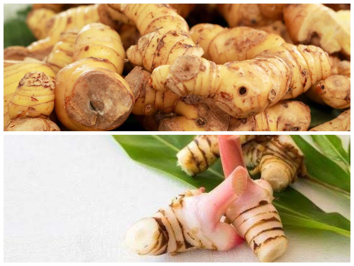 Tak Hanya Bumbu Masakan, Ini Manfaat Lengkuas bagi Kesehatan yang Wajib Kamu Tahu