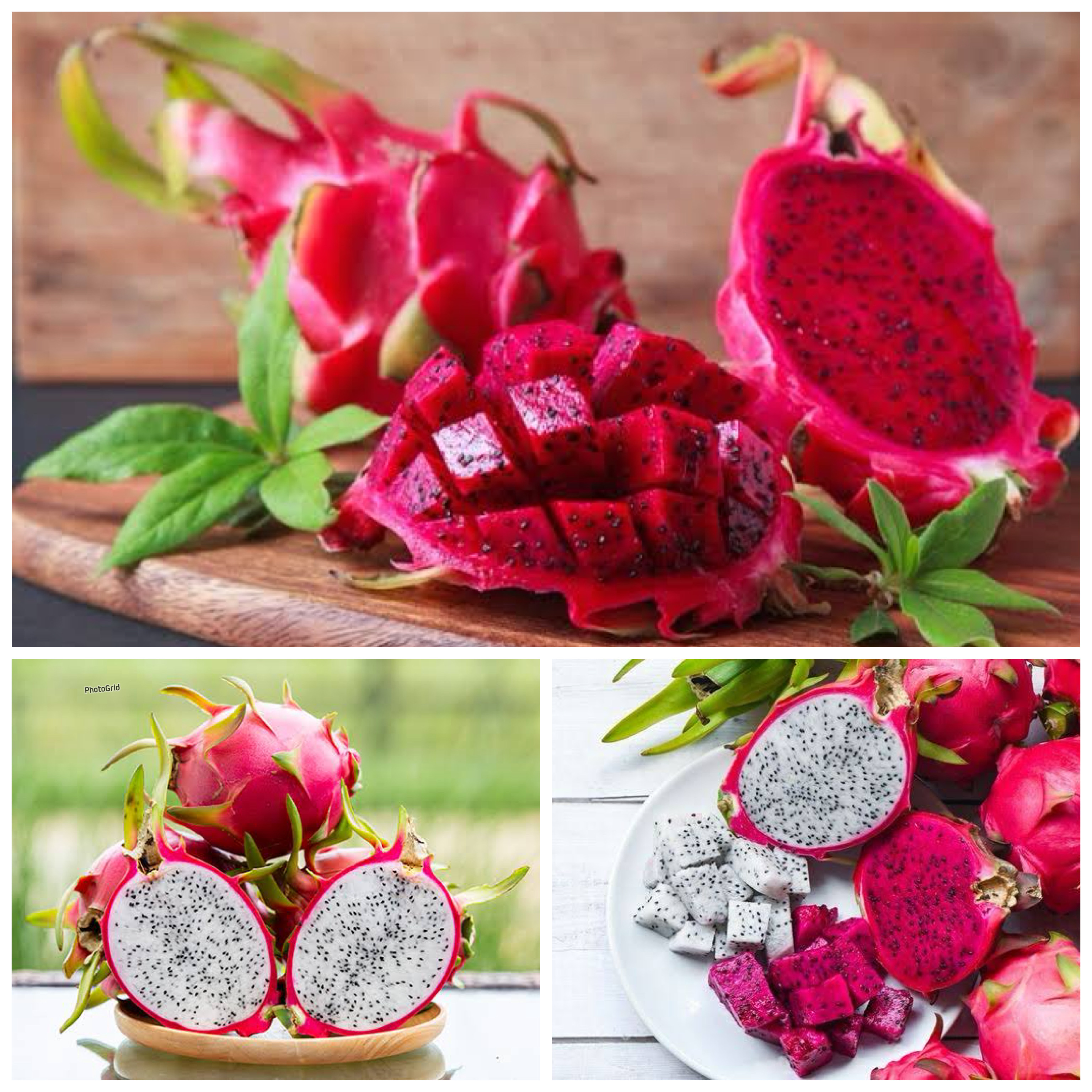 Mengungkap Manfaat Buah Naga bagi Kesehatan Tubuh: Dari Pencernaan hingga Daya Tahan Tubuh!