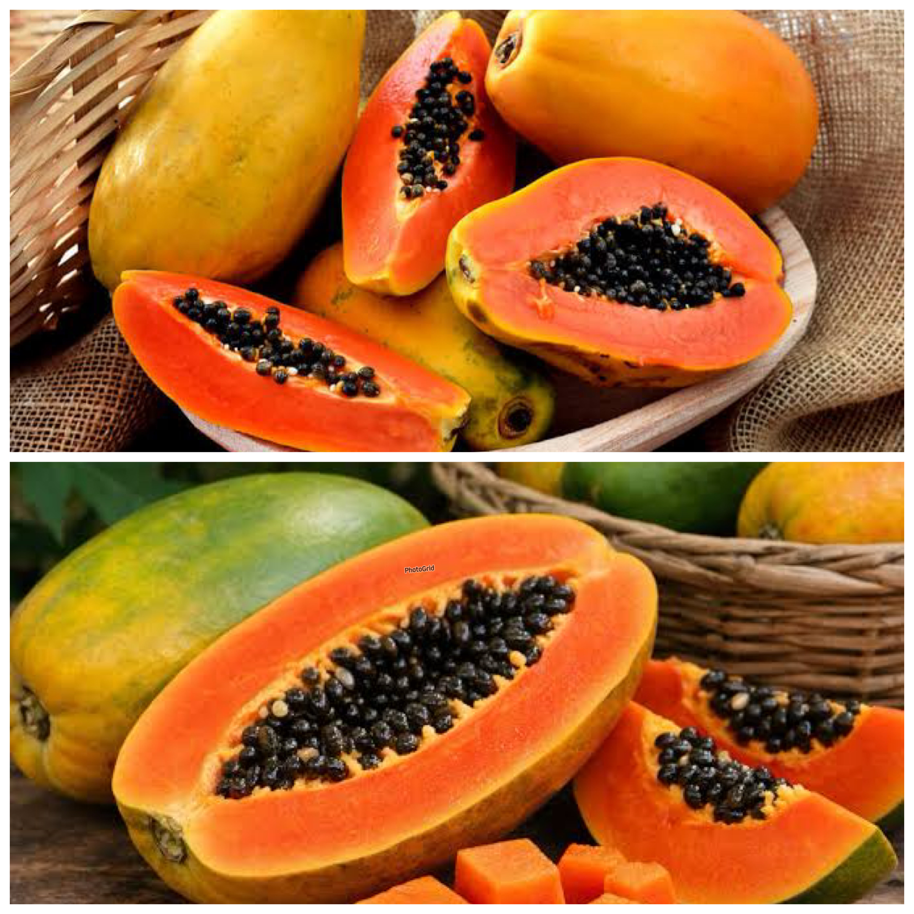 Rahasia Buah Pepaya untuk Menjaga Tubuh Tetap Sehat dan Bugar!