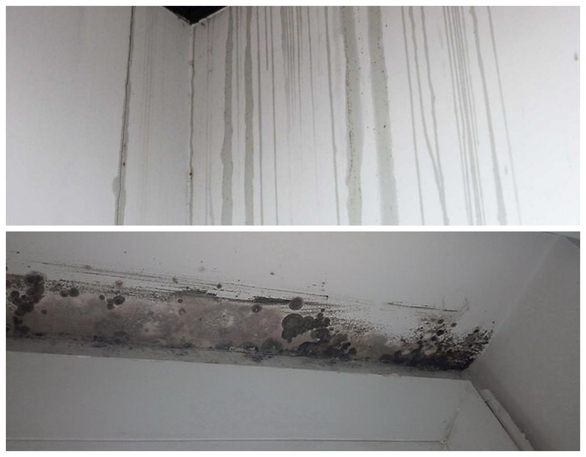 Solusi Praktis! 5 Cara Mengatasi Dinding Rembes Air Tanpa Bongkar Besar yang Paling Efektif