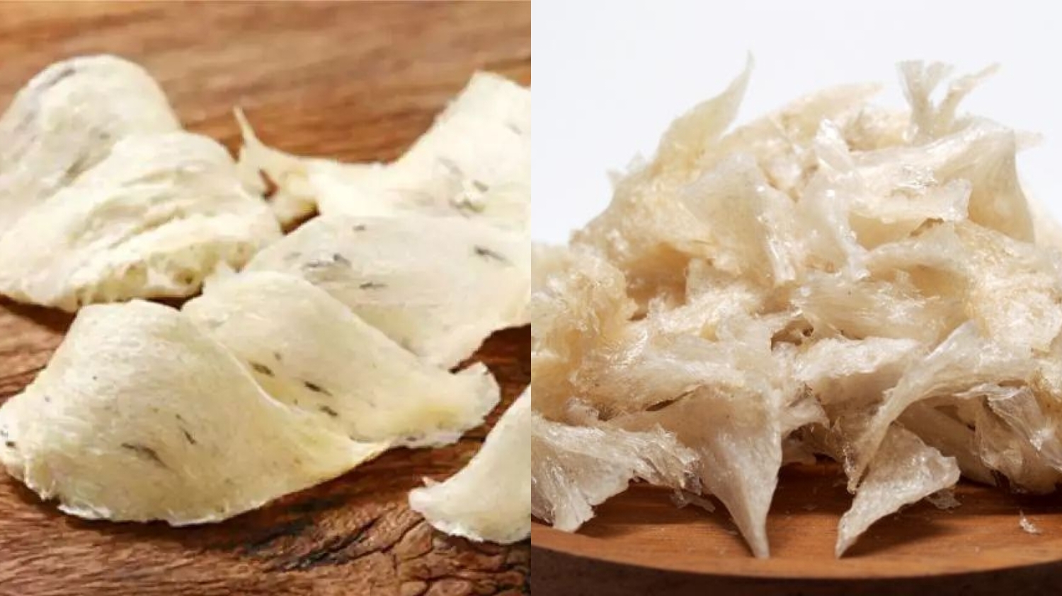 Yuk Ketahui! Manfaat Sarang Burung Walet Untuk Kesehatan Tubuh Begini Penjelasannya