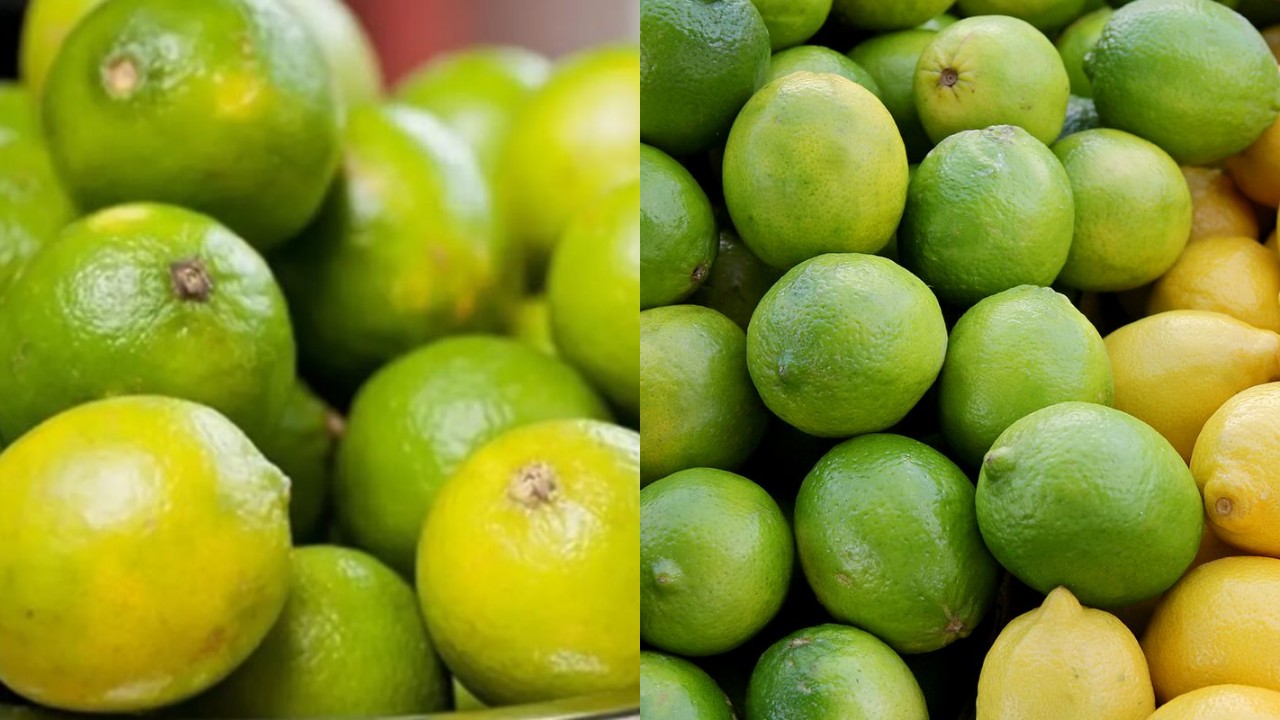 Lemon: Buah Asam dengan Segudang Manfaat untuk Kesehatan!