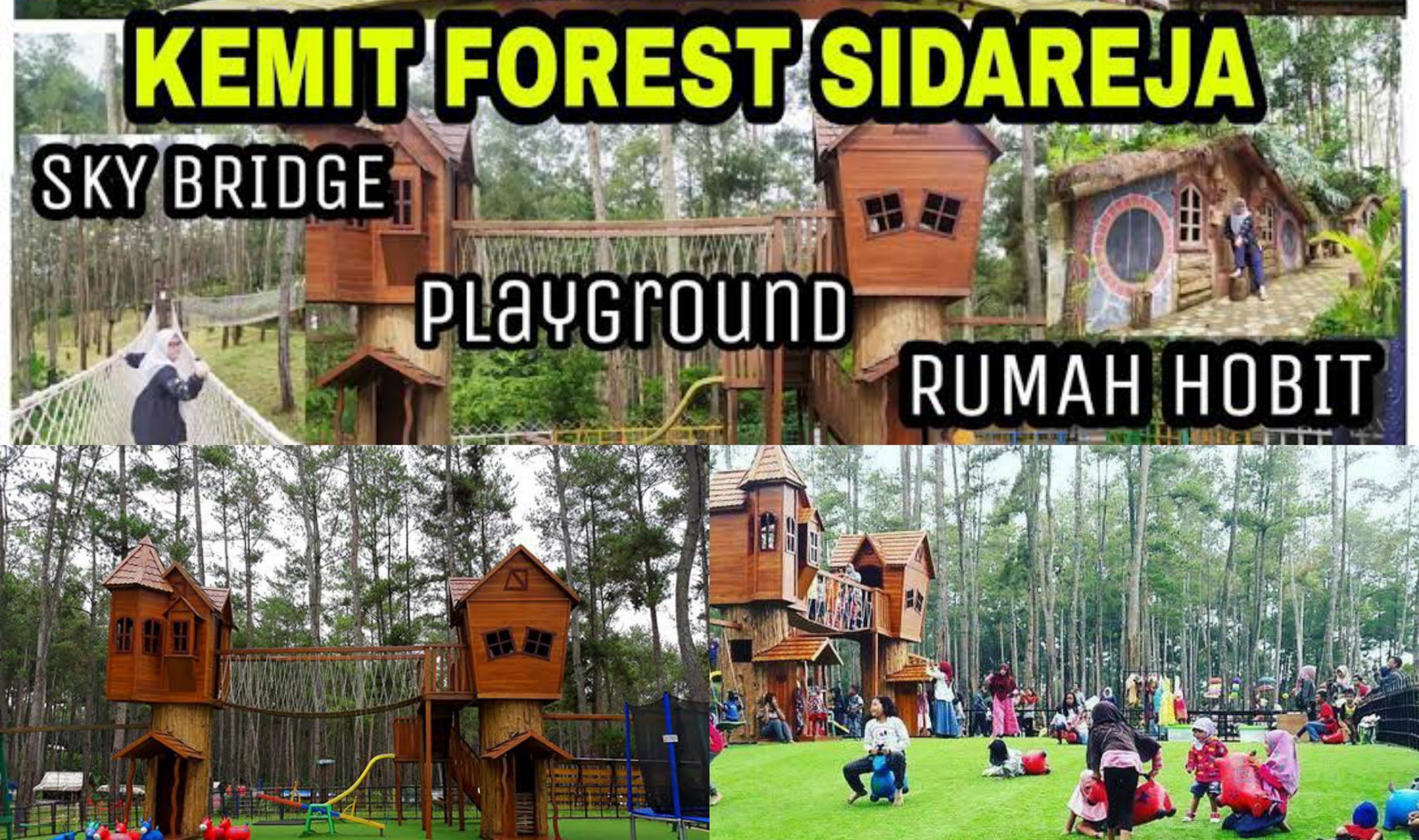 Eksplore Kemit Forest Cilacap. Wisata Alam Keluarga Seru