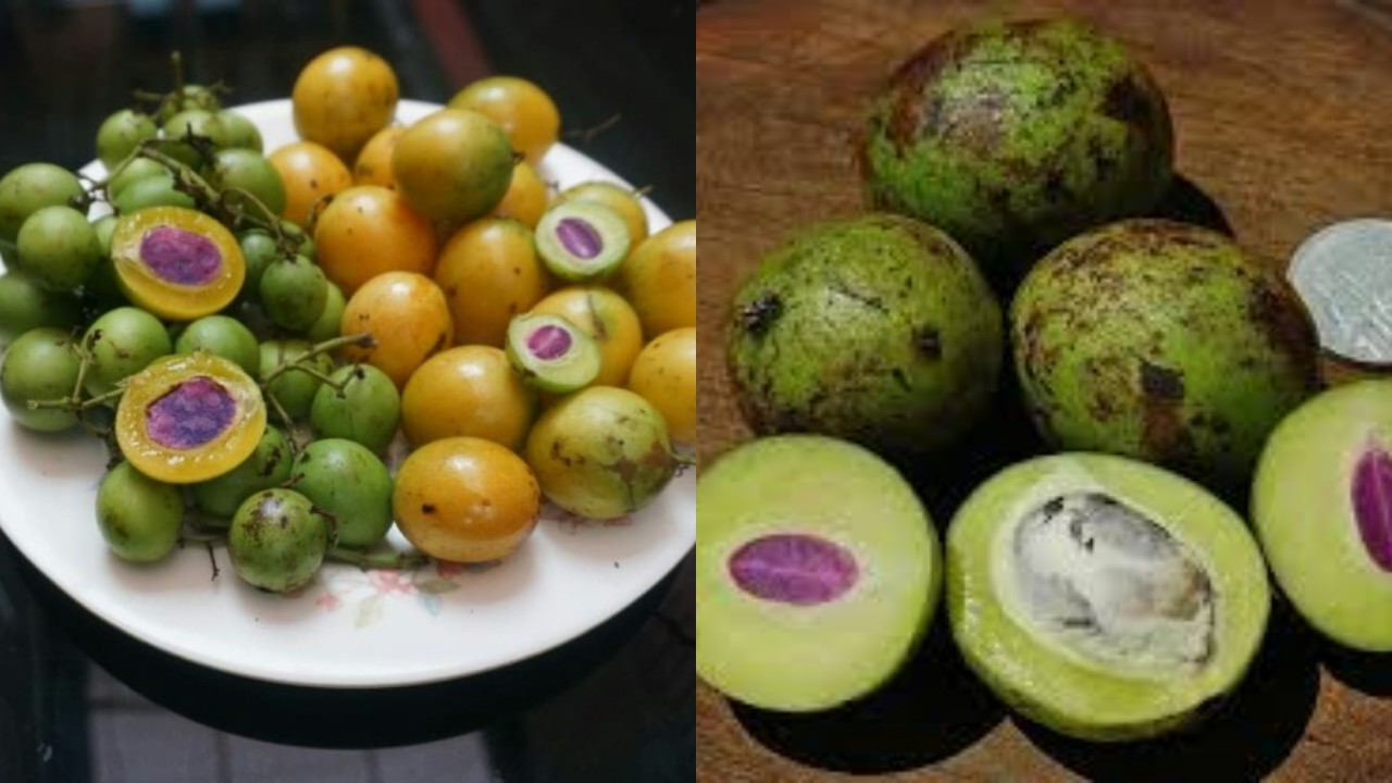 Tak Banyak yang Tahu, Ini Deretan Manfaat Buah Gandaria bagi Tubuh