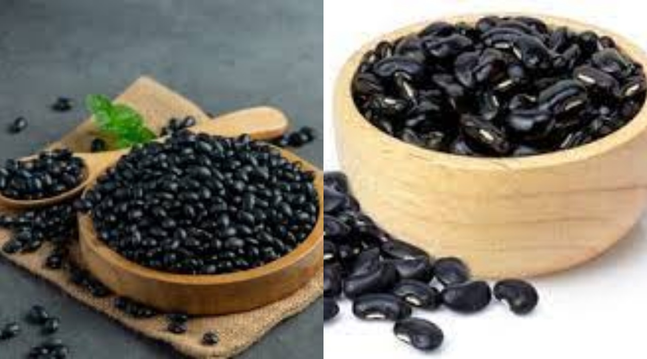 Yuk Ketahui Teryata Ini Guys 8 Manfaat Kedelai Hitam untuk Kesehatan Tubuh