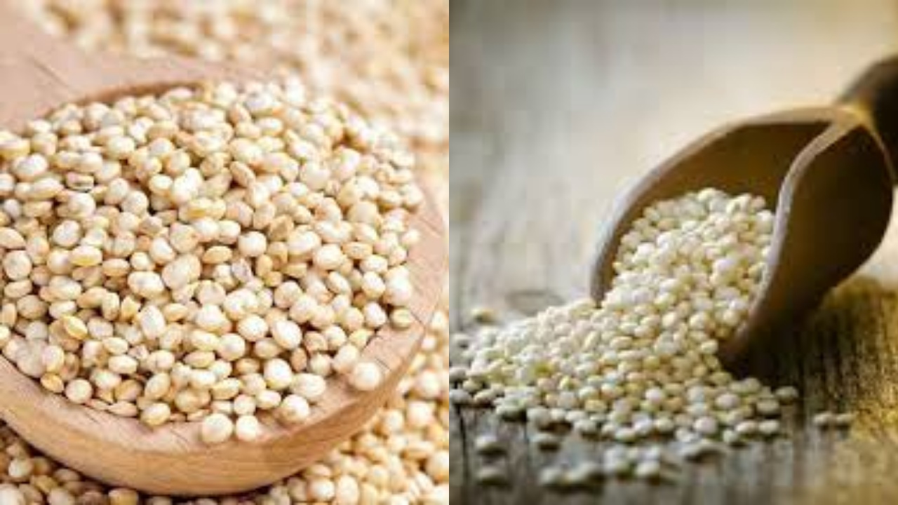 Mau Tahu! Inilah 5 Manfaat Quinoa Untuk Kesehatan Tubuh Yang Luar Biasa