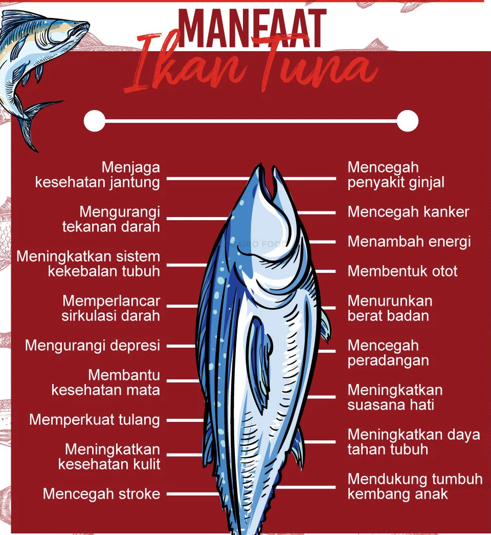 Kenapa Ikan Tuna Penting untuk Kesehatan? Temukan 5 Manfaat Luar Biasa!