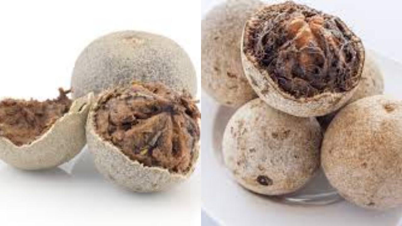 Wajib Tahu Inilah Manfaat Buah Kawista Untuk Kesehatan Yang Luar Biasa!