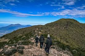 Nggak Kuat Bang! Ini Cerita Mistis Pasar Setan Gunung Arjuno, Ada Apa?