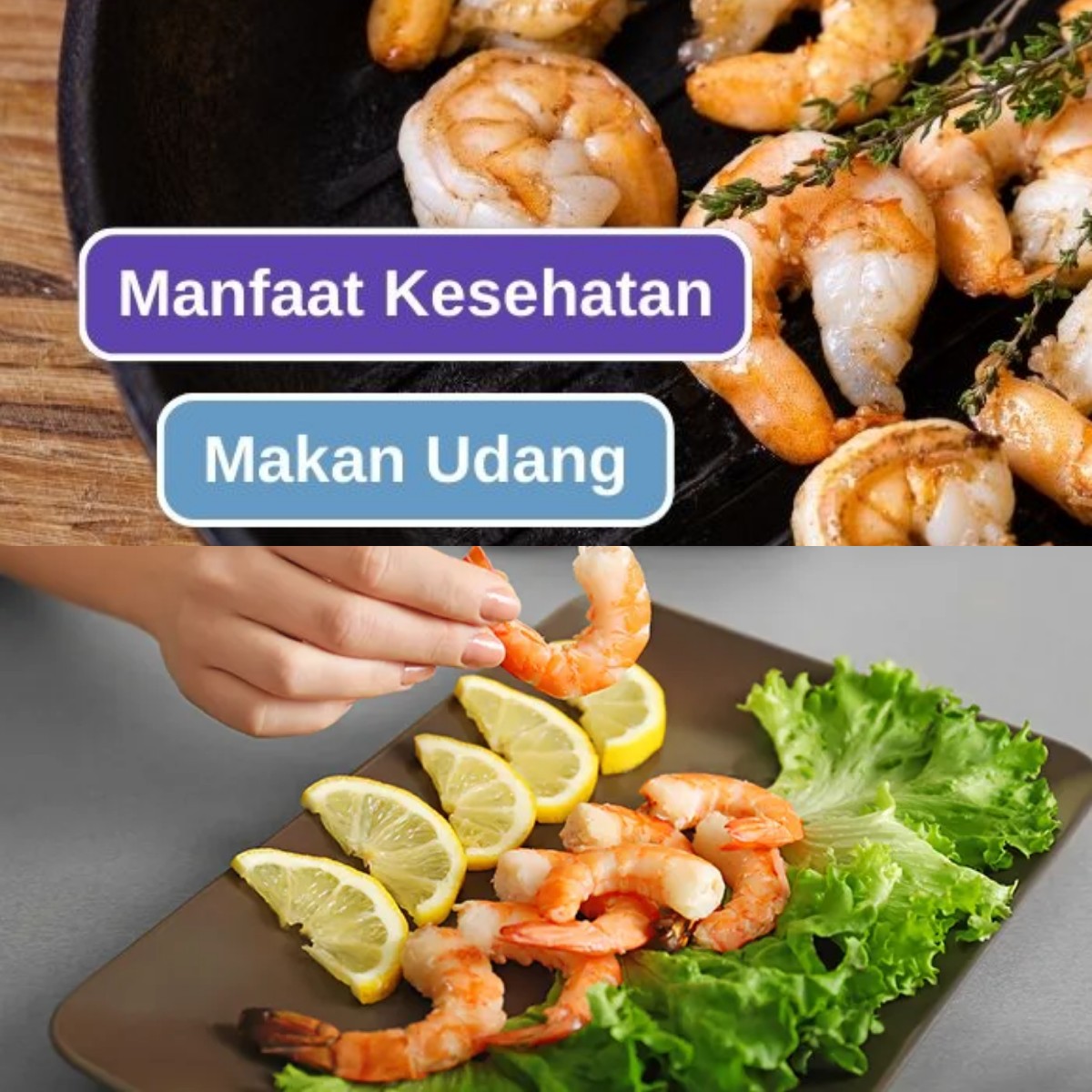 Mau Tubuh Sehat dan Bugar? Coba Konsumsi Udang!