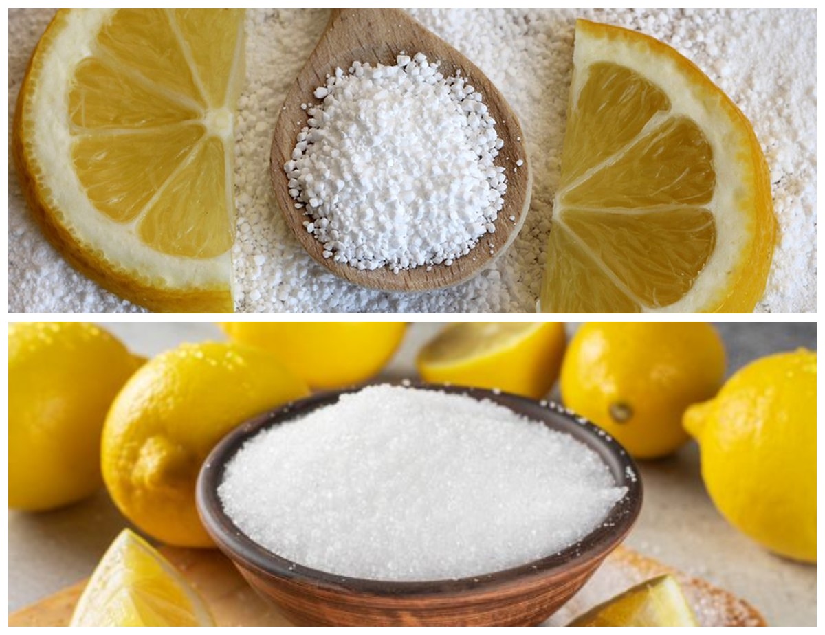 Asam Sitrat: Inilah Manfaatnya bagi Kesehatan Tubuh Secara Menyeluruh!